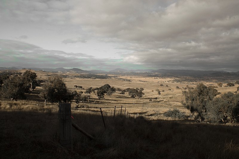 fence  line.jpg